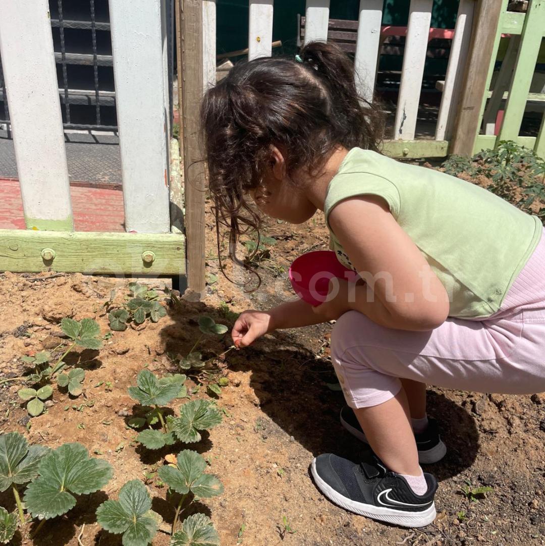 Özel Ataşehir Tarık Akay Anaokulu - 25