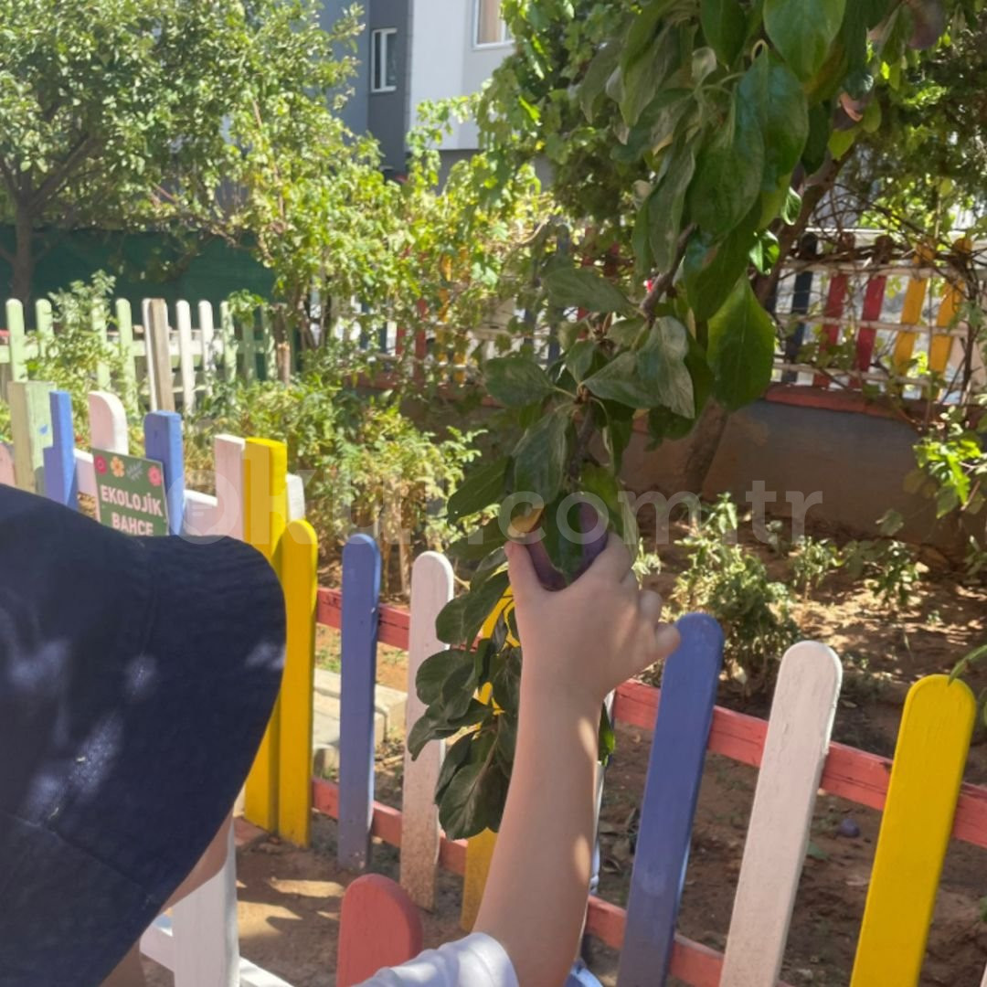 Özel Ataşehir Tarık Akay Anaokulu - 38