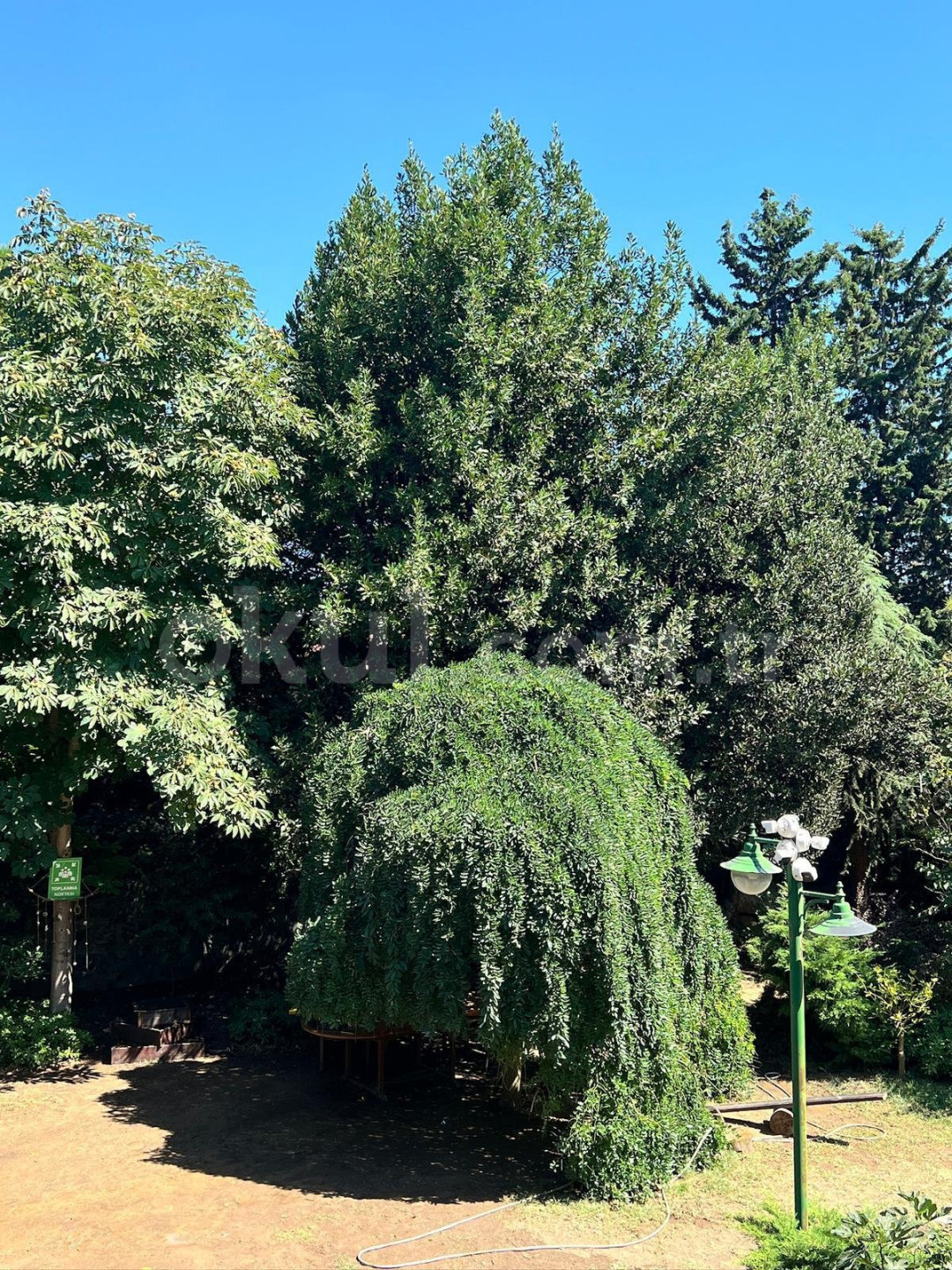 Özel Bahçeşehir Badem Şekeri Kindergarten Anaokulu - 7