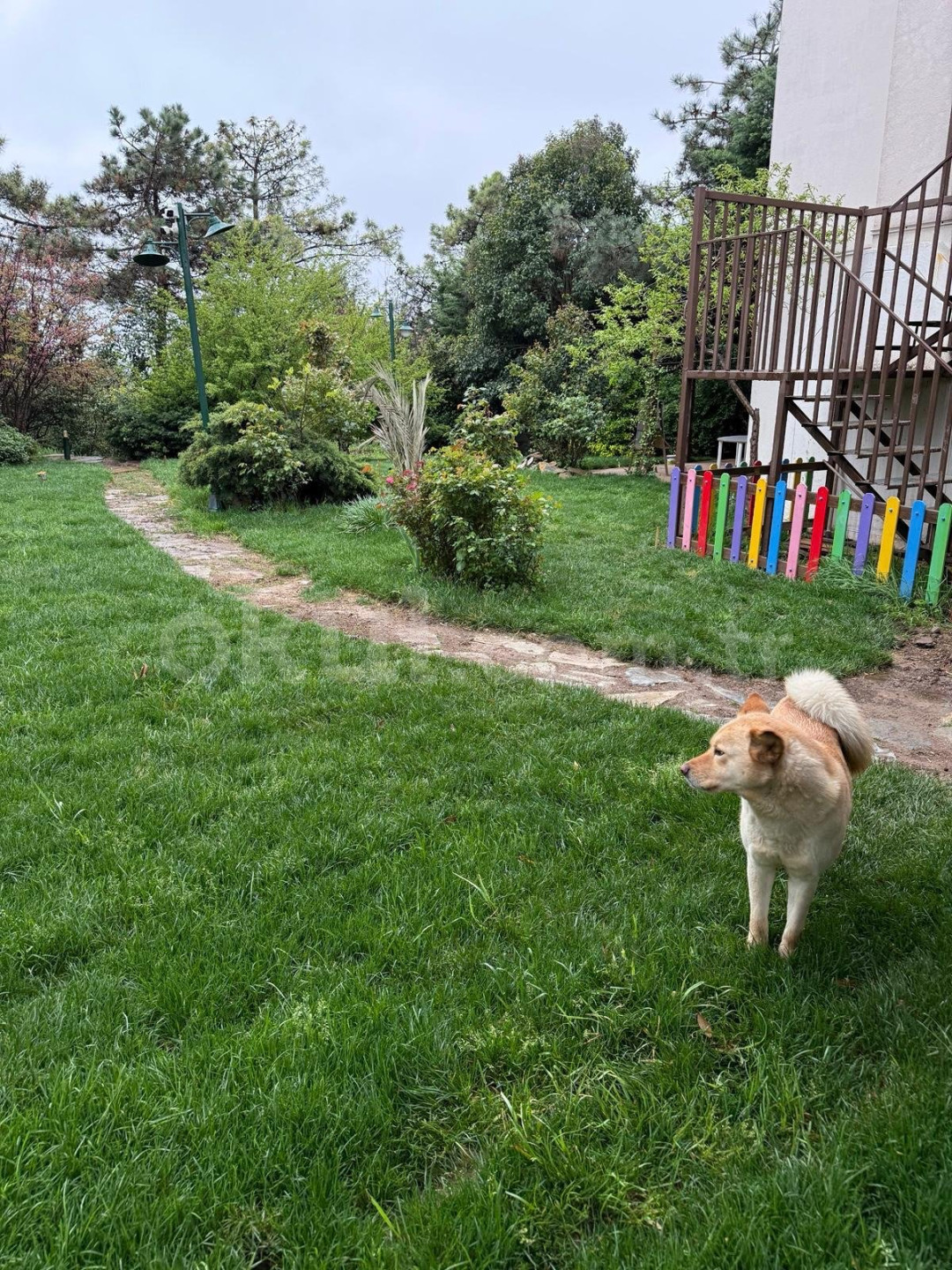 Özel Bahçeşehir Badem Şekeri Kindergarten Anaokulu - 4