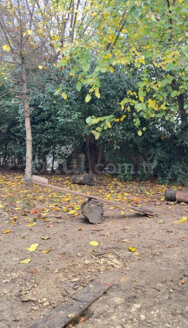 Özel Bahçeşehir Badem Şekeri Kindergarten Anaokulu - 6