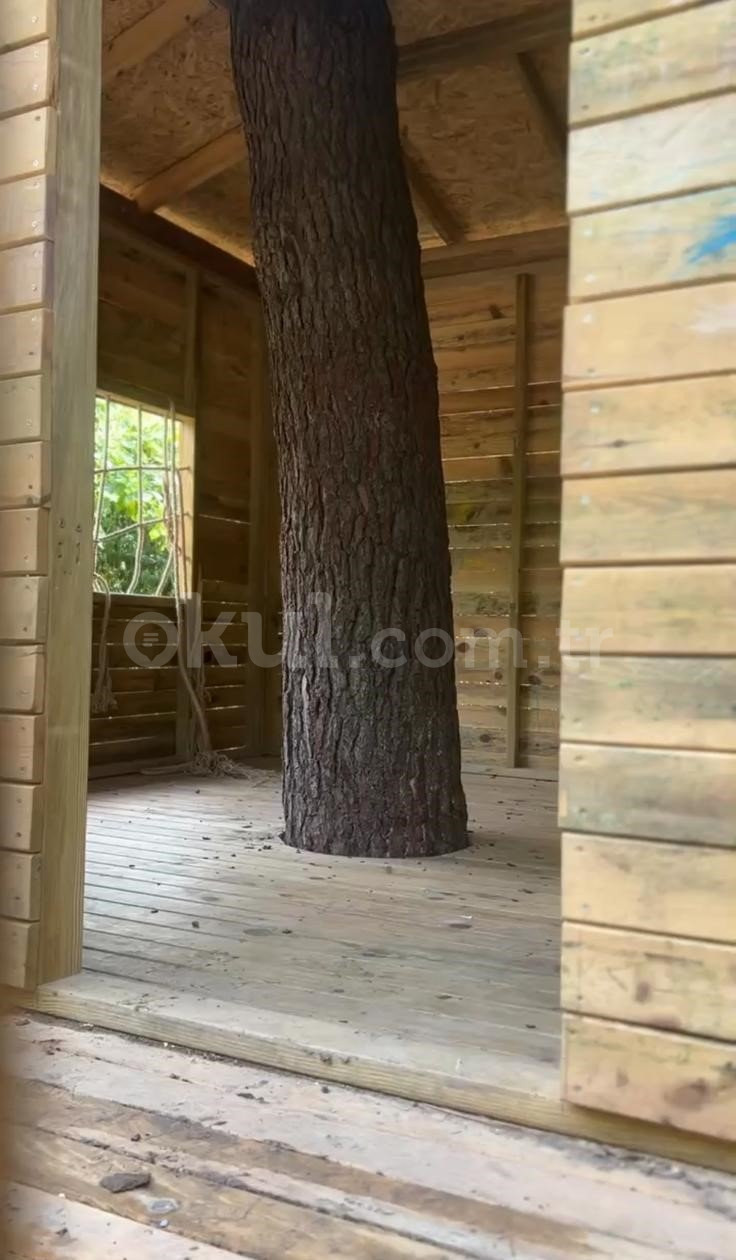 Özel Bahçeşehir Badem Şekeri Kindergarten Anaokulu - 5