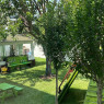 Özel Balsu Örs Montessori Anaokulu