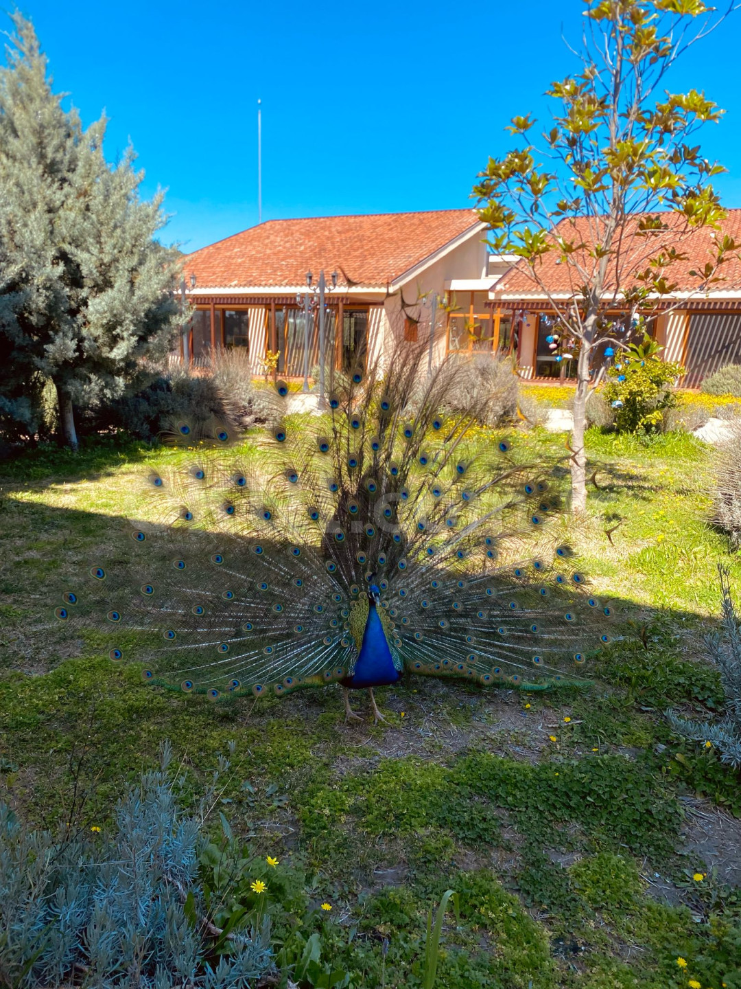 Özel Bademler Köyü Koleji Montessori Anaokulu - 2