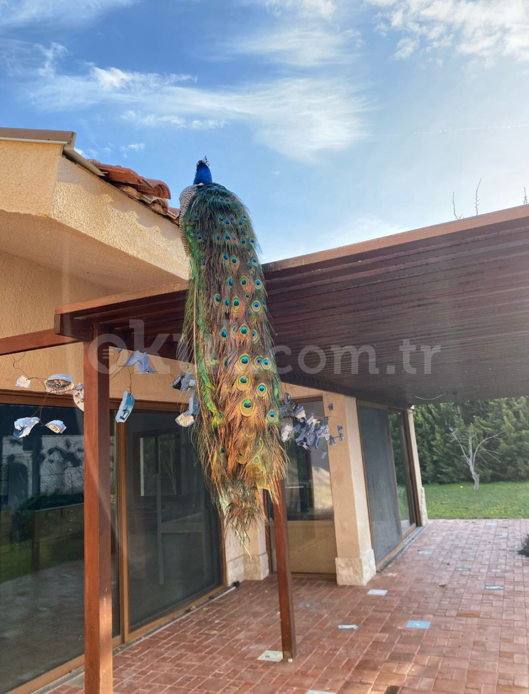 Özel Bademler Köyü Koleji Montessori Anaokulu - 19