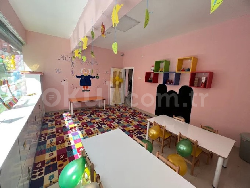 Özel Saray Vadi Bahçe Anaokulu - 7