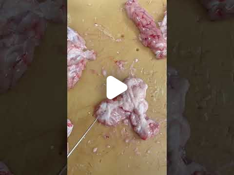 Özel Zincirlikuyu Cern Koleji Anadolu Lisesi - 22