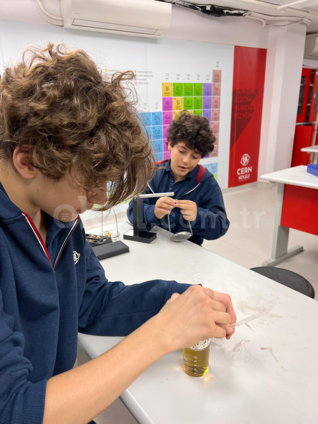 Özel Beylikdüzü Cern Koleji Anadolu Lisesi - 26