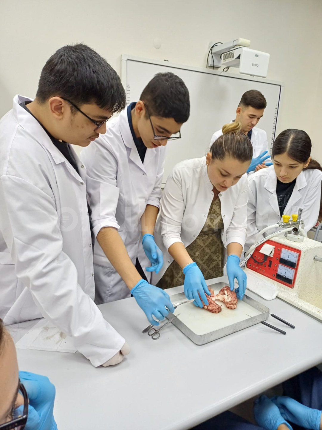 Özel Beylikdüzü Cern Koleji Anadolu Lisesi - 28