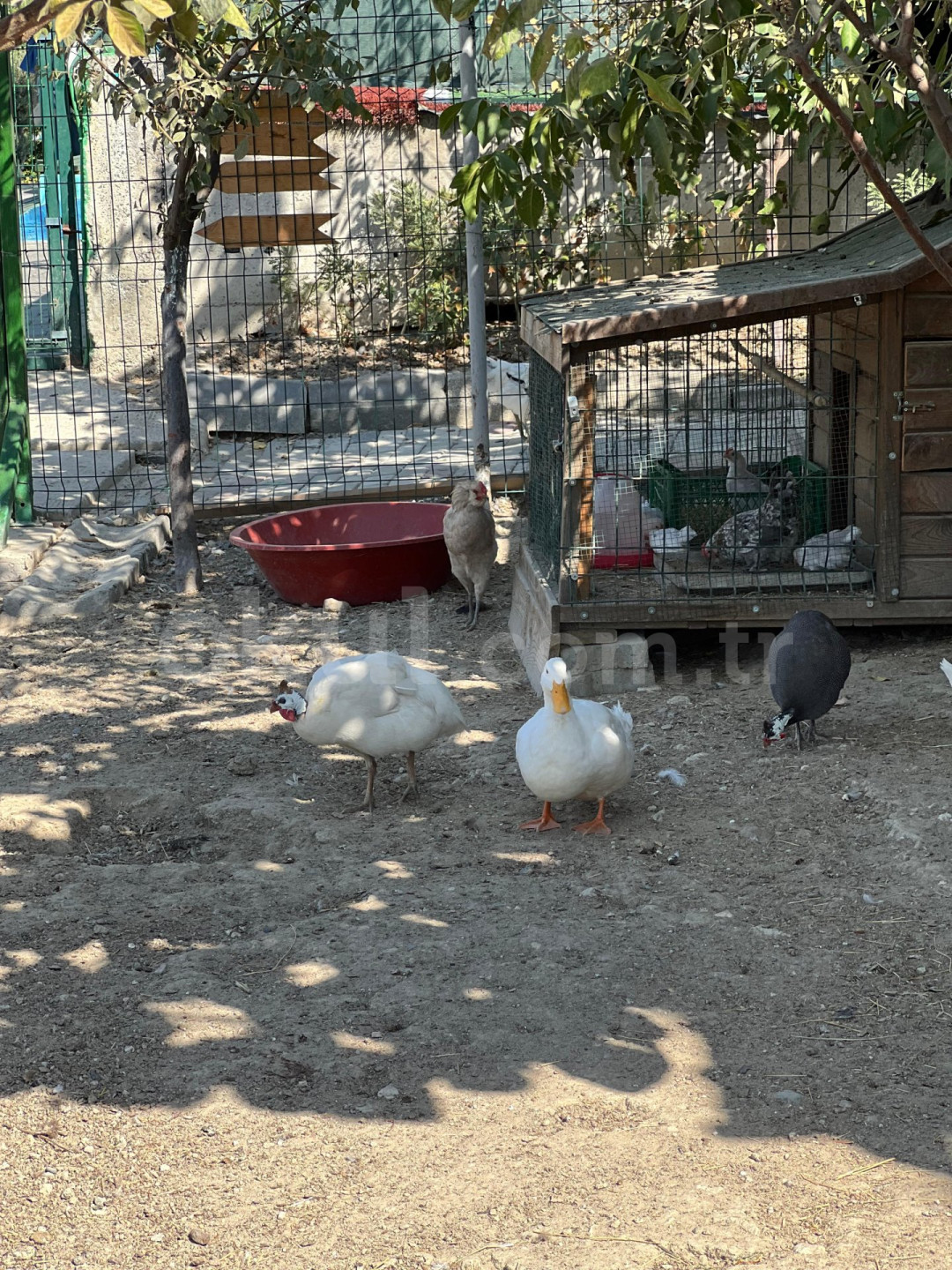 Özel Düşle Anaokulu - 14