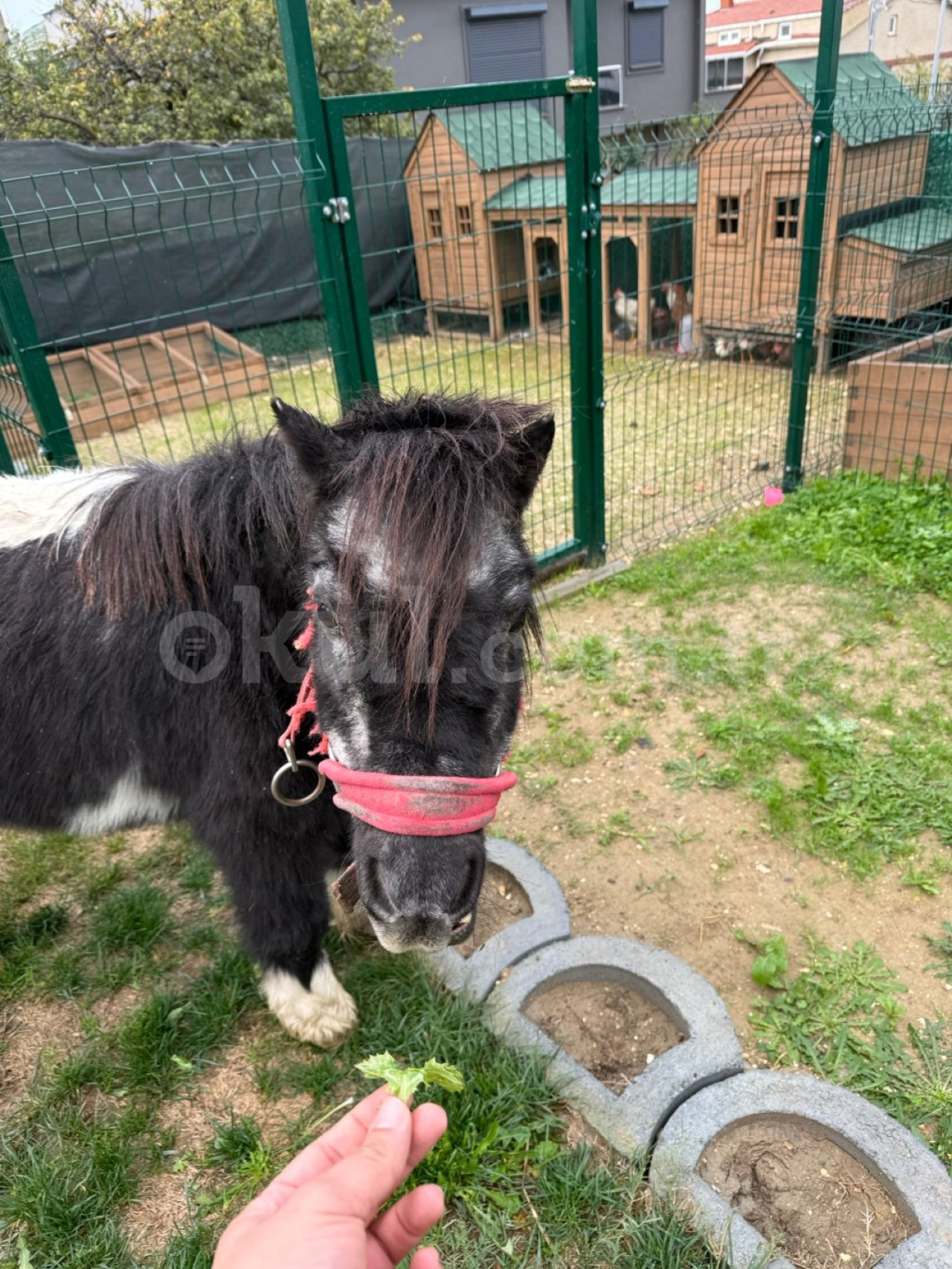 Özel Düşle Anaokulu - 8