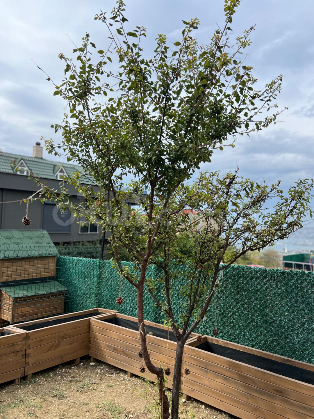 Özel Düşle Anaokulu - 18