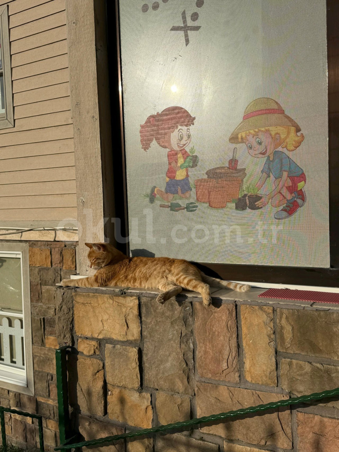 Özel Düşle Anaokulu - 16