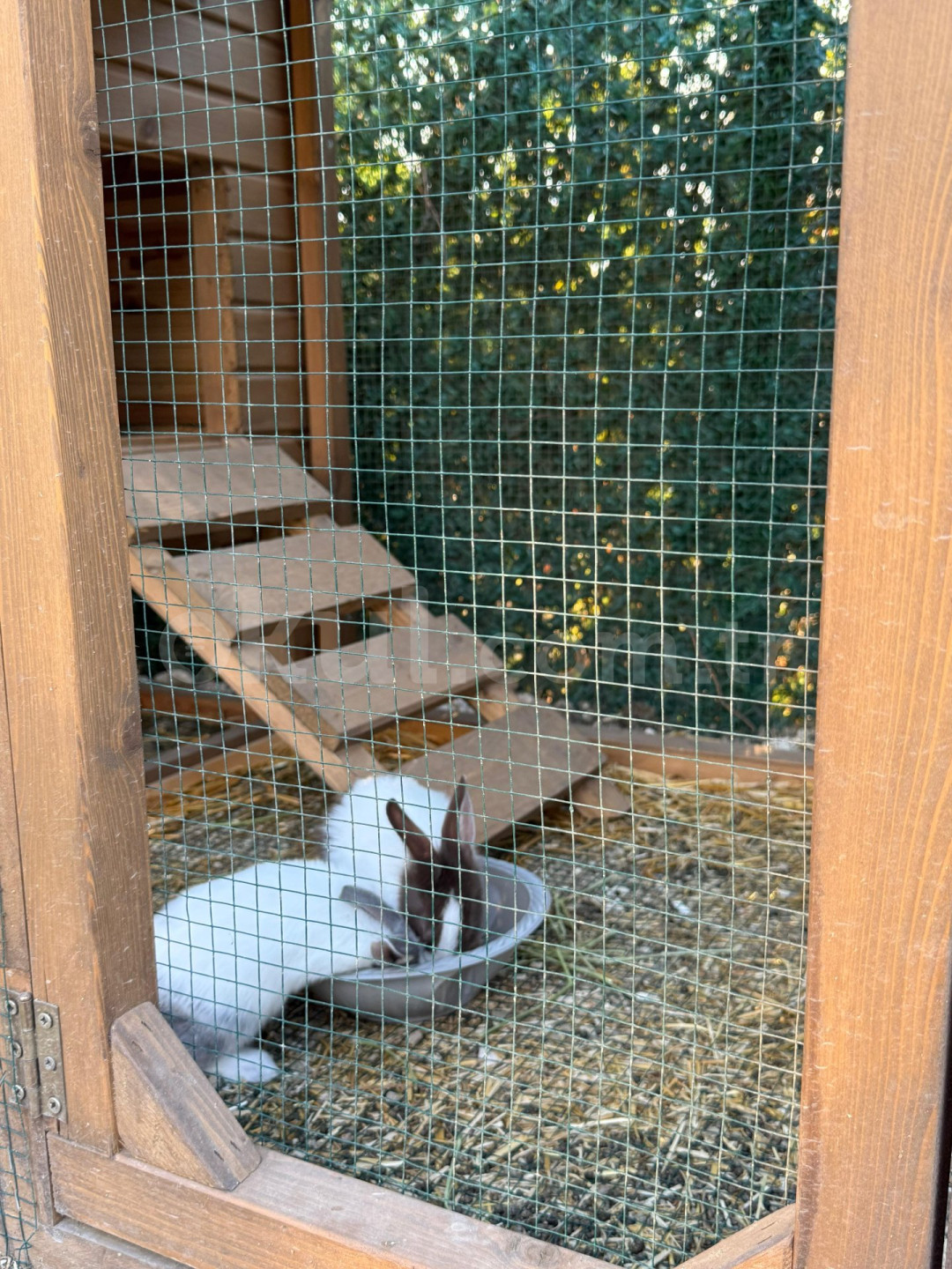 Özel Düşle Anaokulu - 18