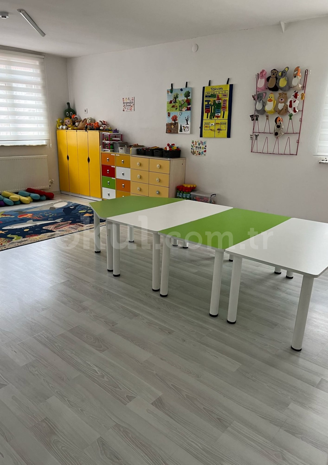 Özel Yeşilova Güneş Anaokulu - 9