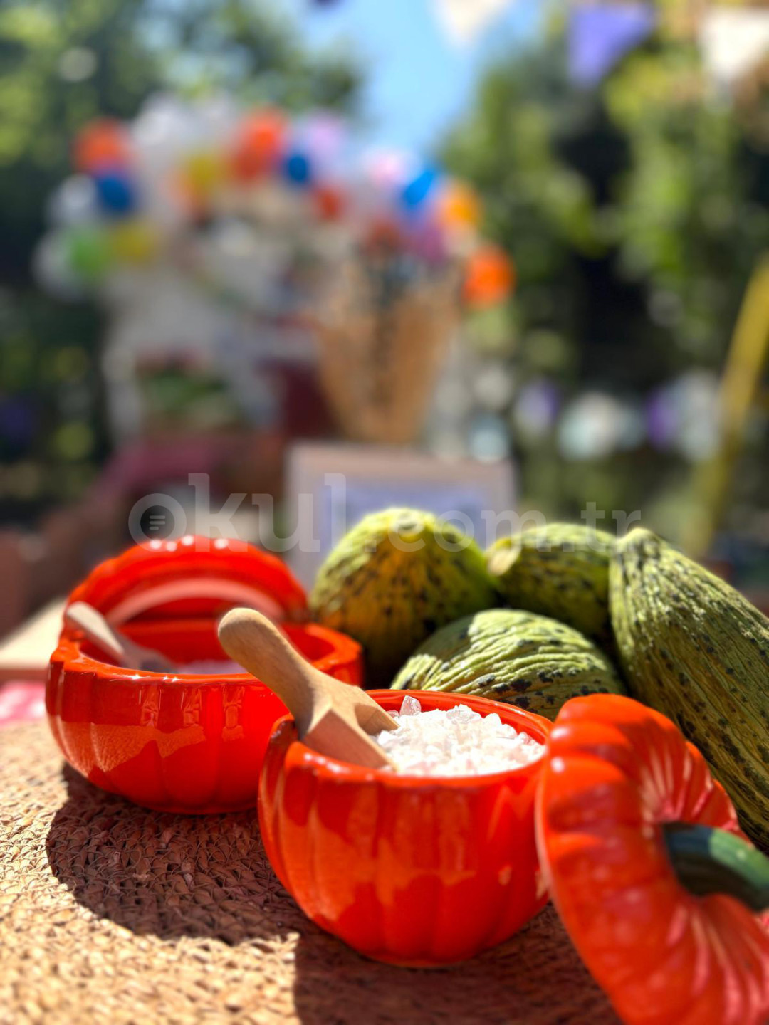 Özel Önder Okulları Anaokulu - 23