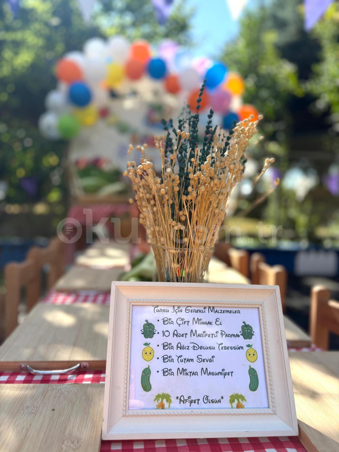 Özel Önder Okulları Anaokulu - 25