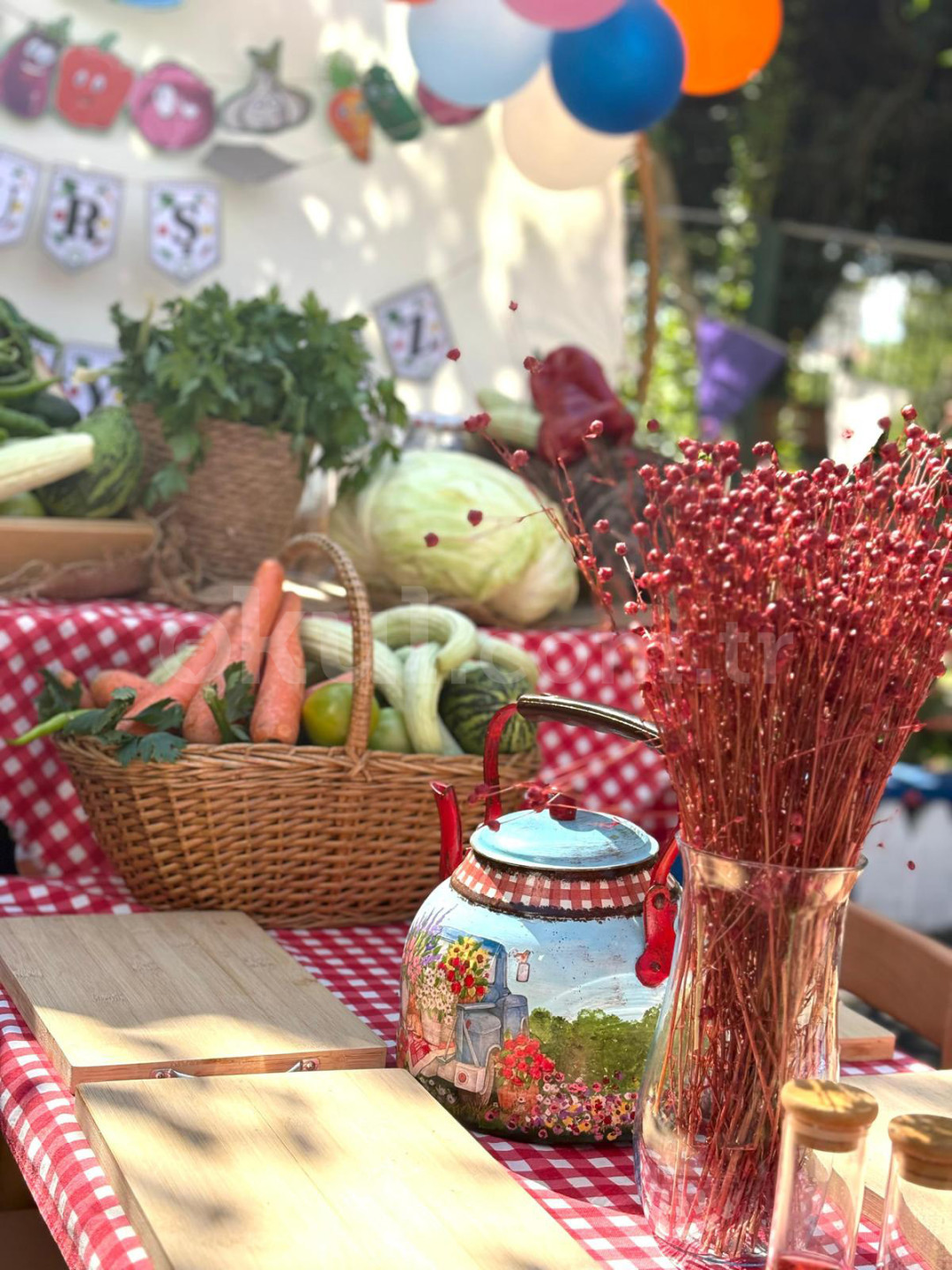 Özel Önder Okulları Anaokulu - 27