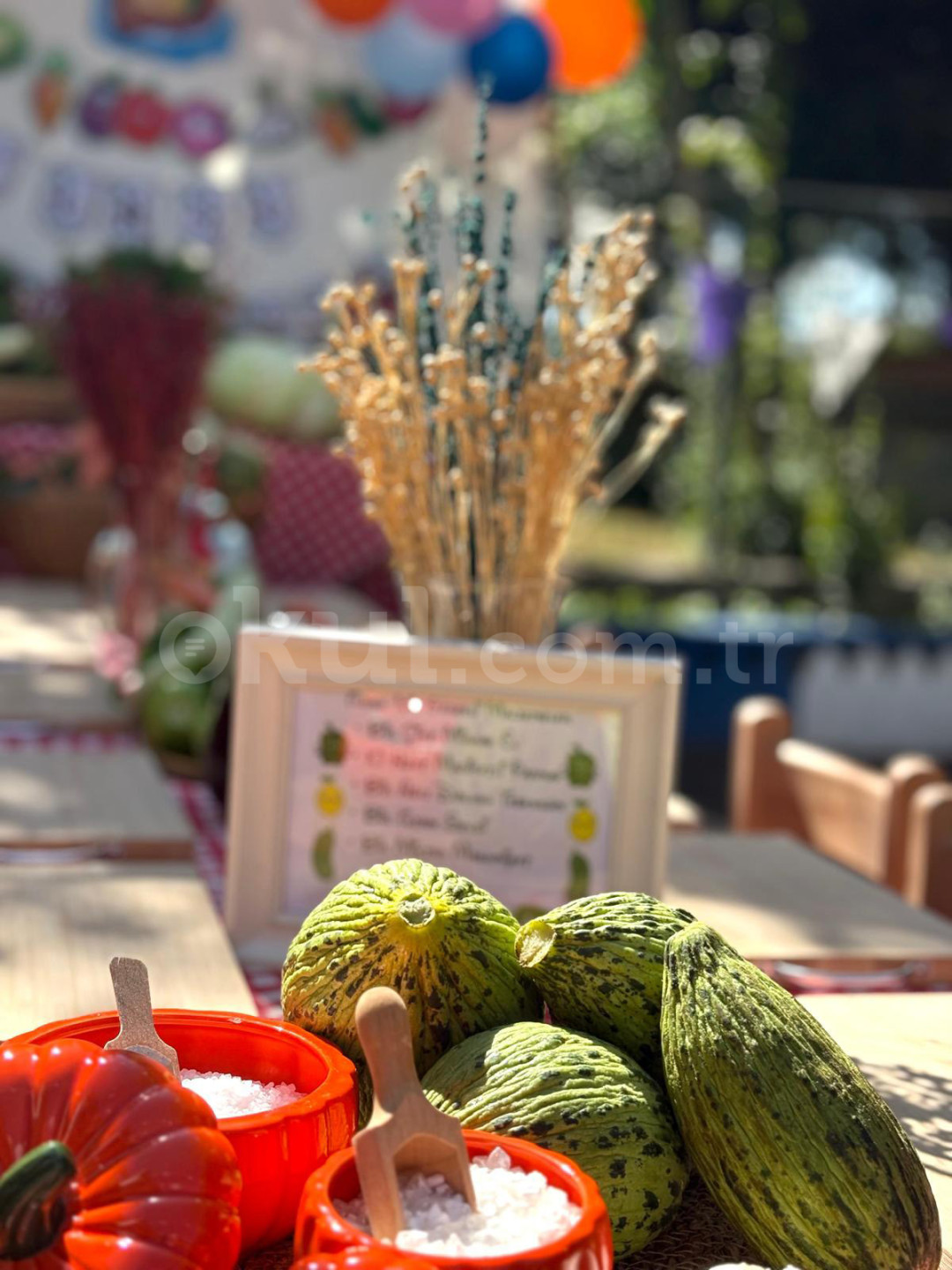 Özel Önder Okulları Anaokulu - 28