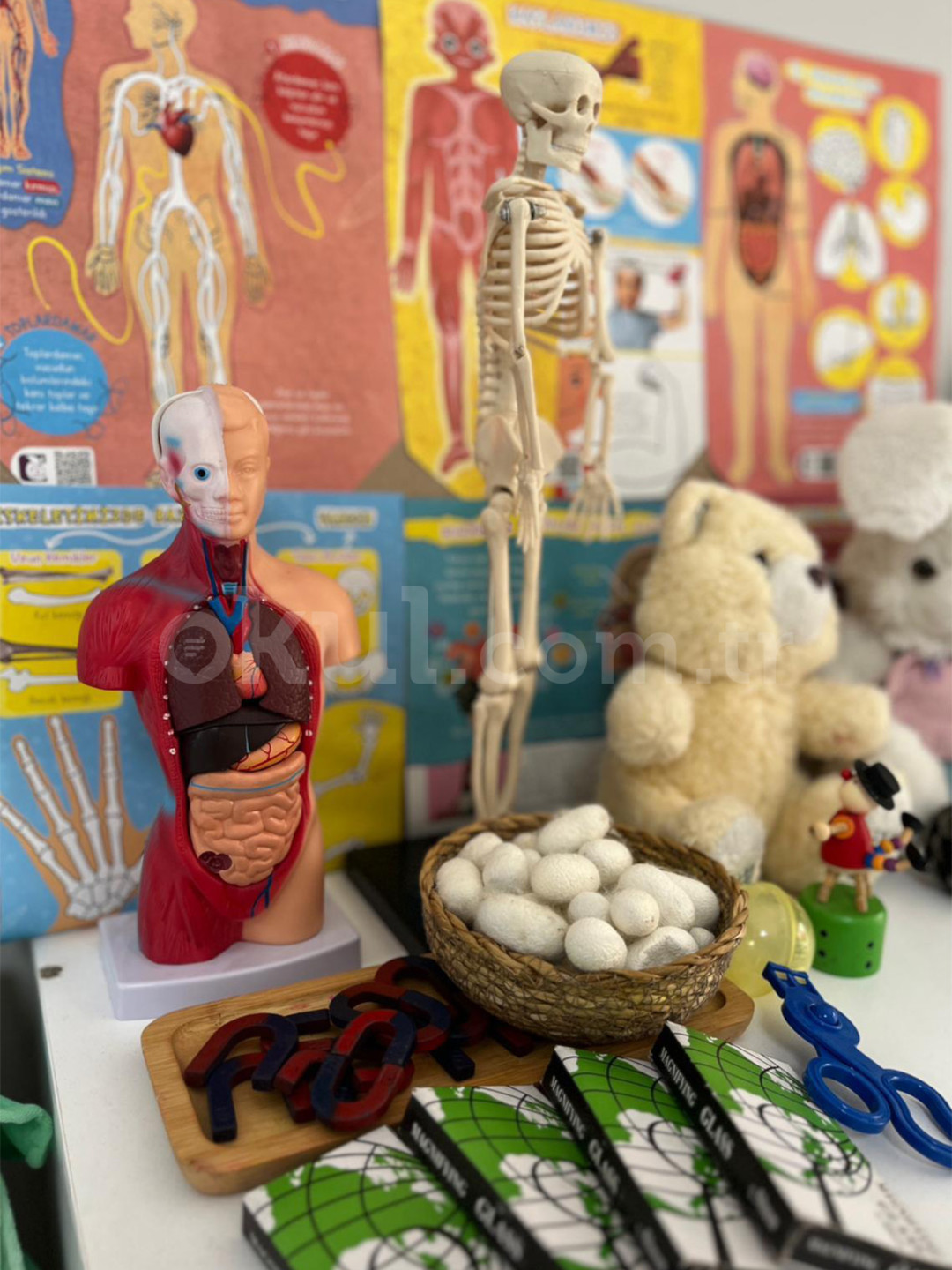 Özel Önder Okulları Anaokulu - 30