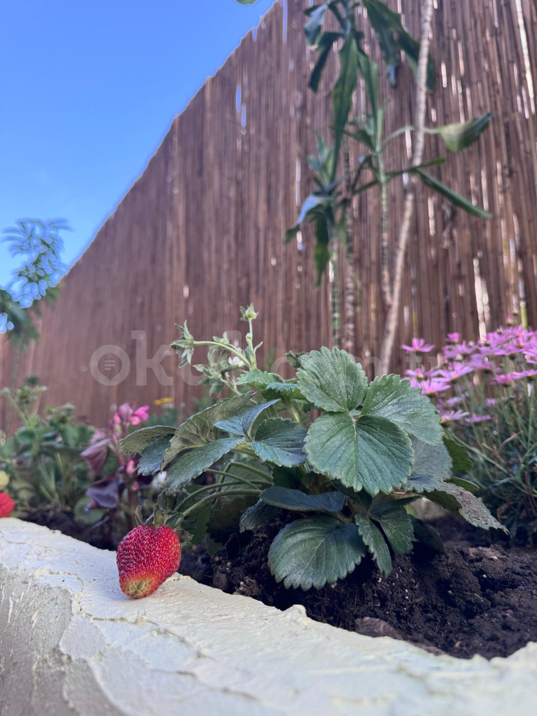 Özel Anka Akademisi Anaokulu - 31