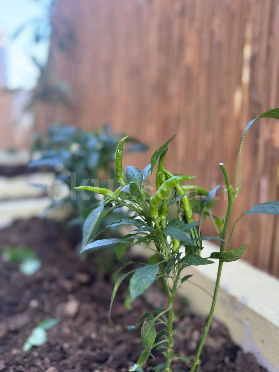 Özel Anka Akademisi Anaokulu - 30