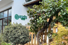 Özel Beytepe Ceviz Anaokulları