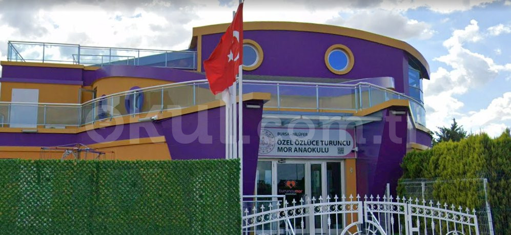 Özel Özlüce Turuncu Mor Anaokulu - 2