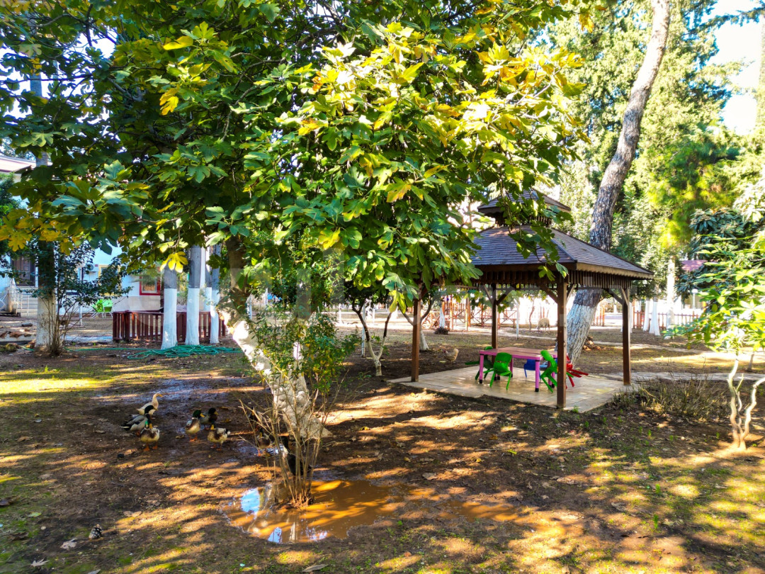 Özel Elit Akdeniz Anaokulu - 3