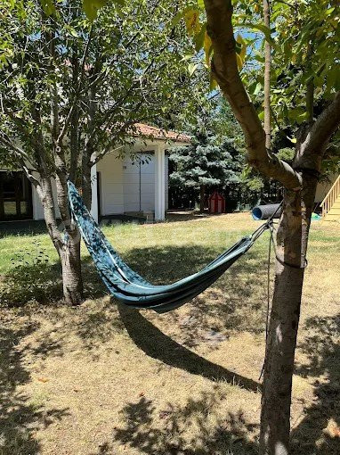 Özel Kuş Dili Anaokulu - 1