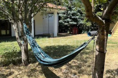 Özel Kuş Dili Anaokulu