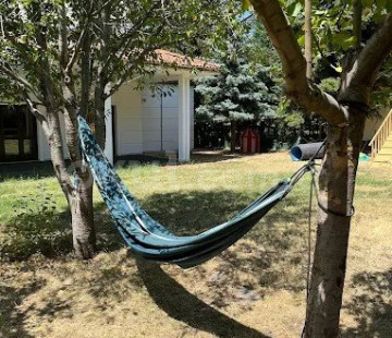 Özel Kuş Dili Anaokulu