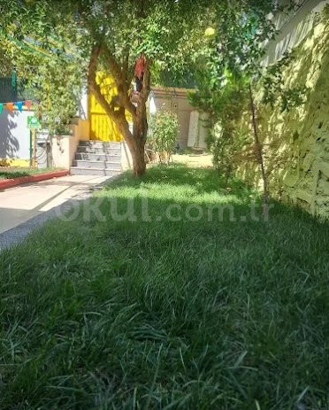 Özel Çavuşoğlu Parlayan Yıldız  Anaokulu - 4