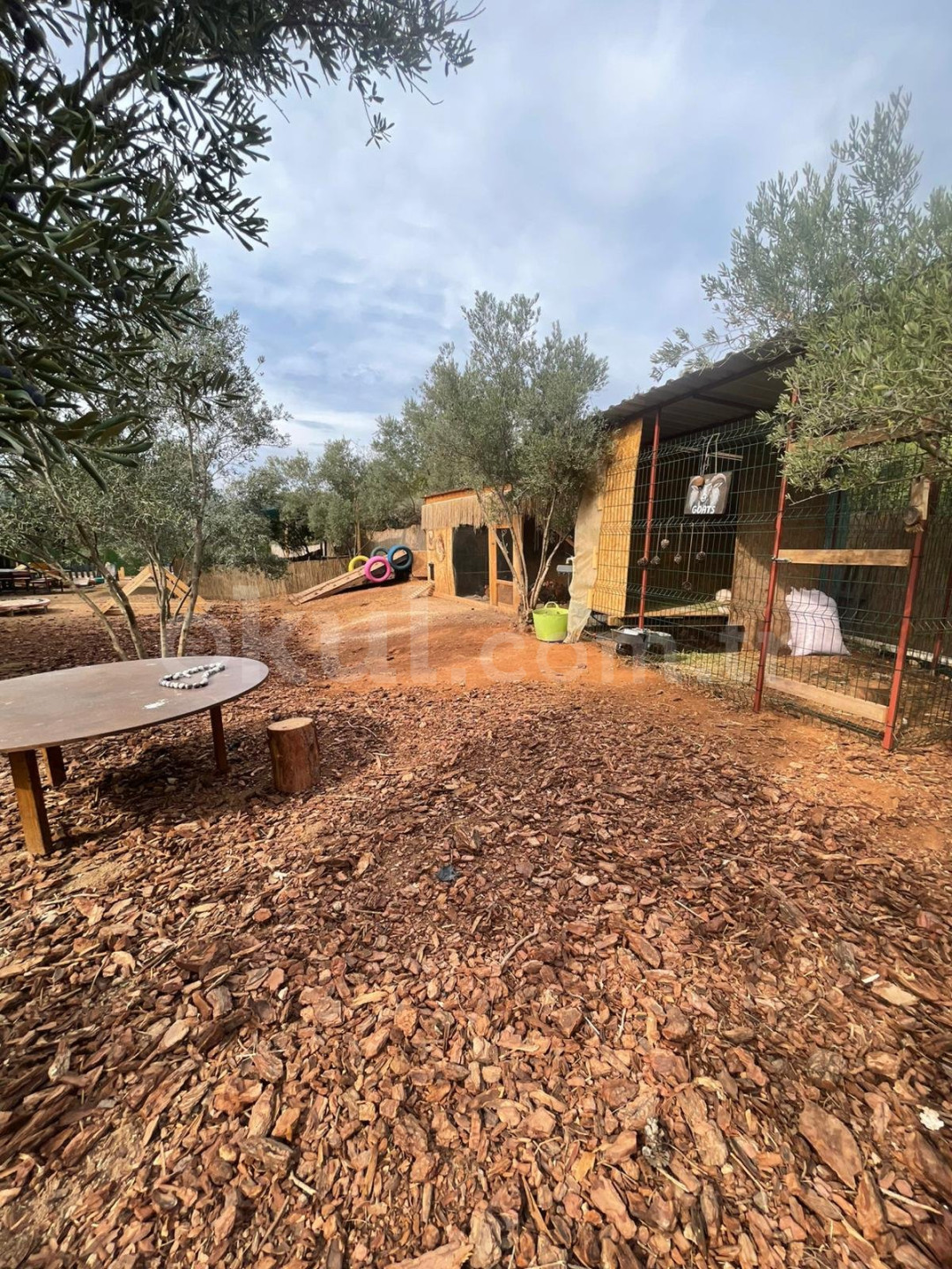 Özel Antalya Deniz ve Orman Anaokulu - 5