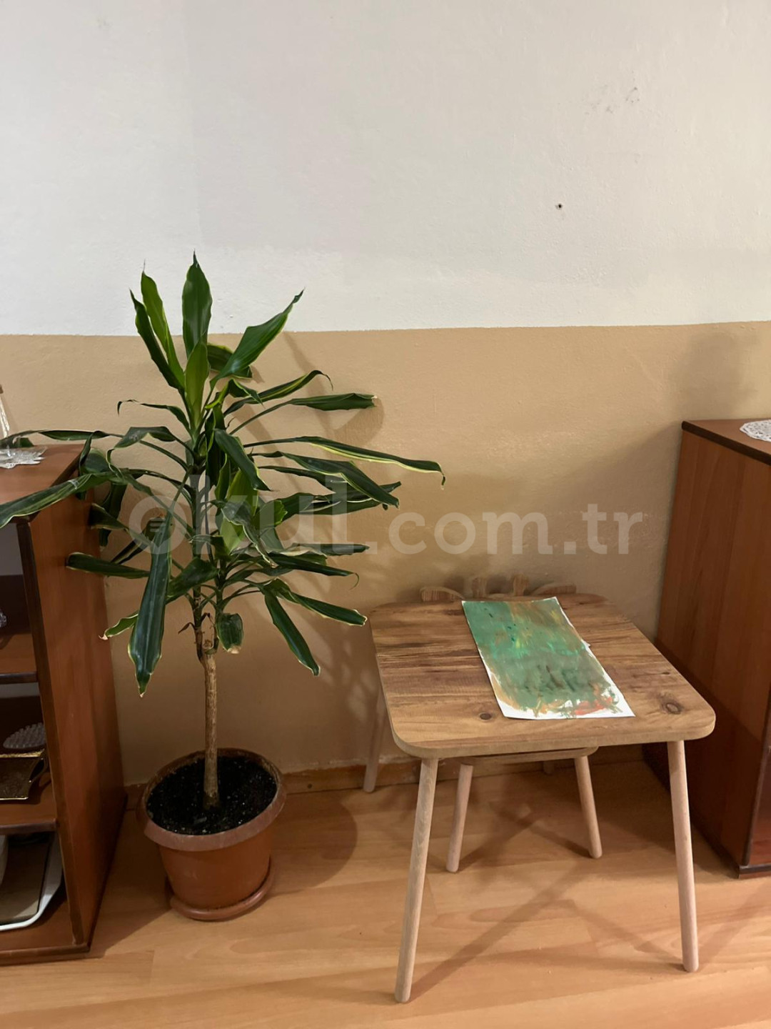 Özel Parlayan Yıldızlar Anaokulu - 16