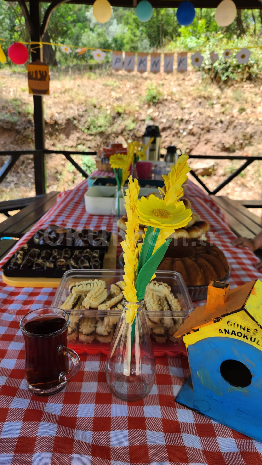 Özel Çınarlıdere Güneş Anaokulu - 8