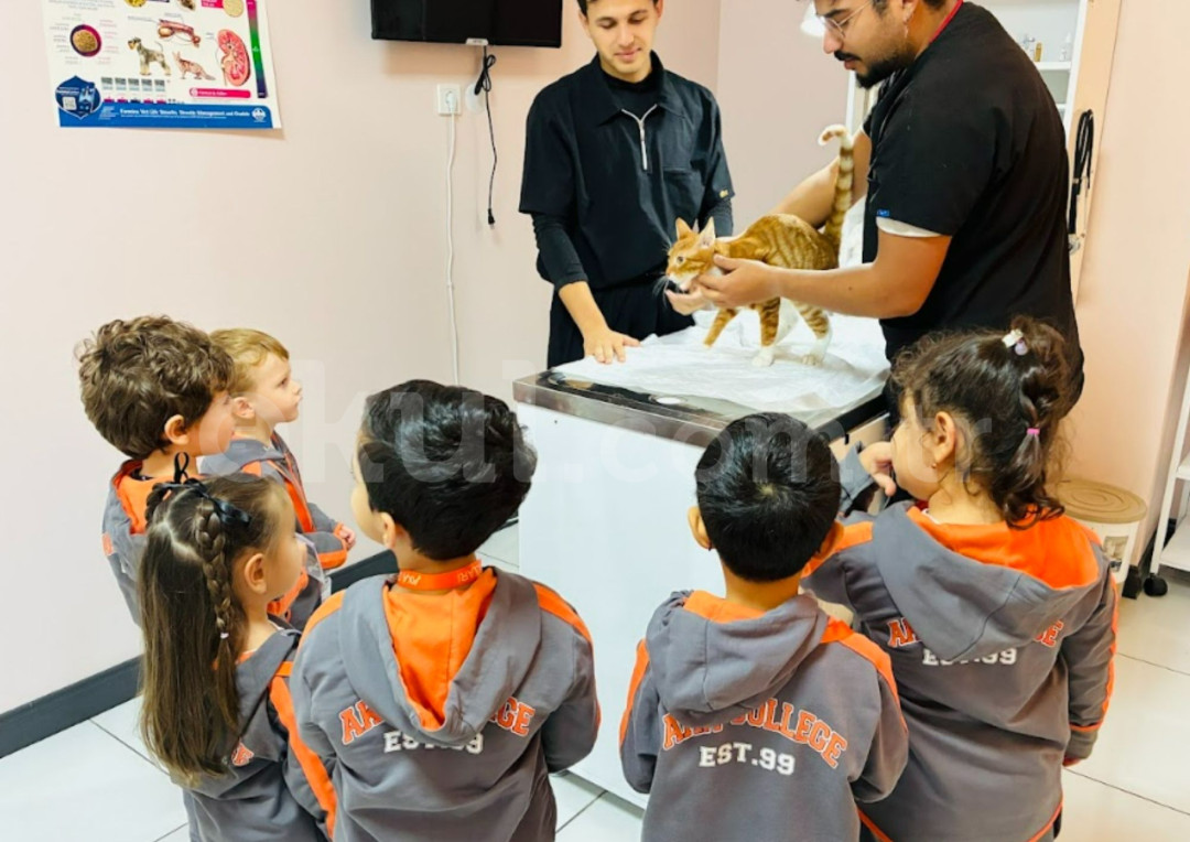 Özel Atakent Aka Anaokulu - 7