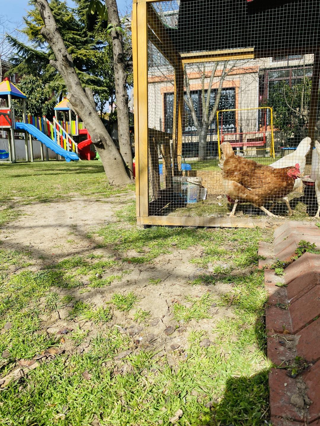 Özel Beylikdüzü Sevgi Pınarı Anaokulu - 26