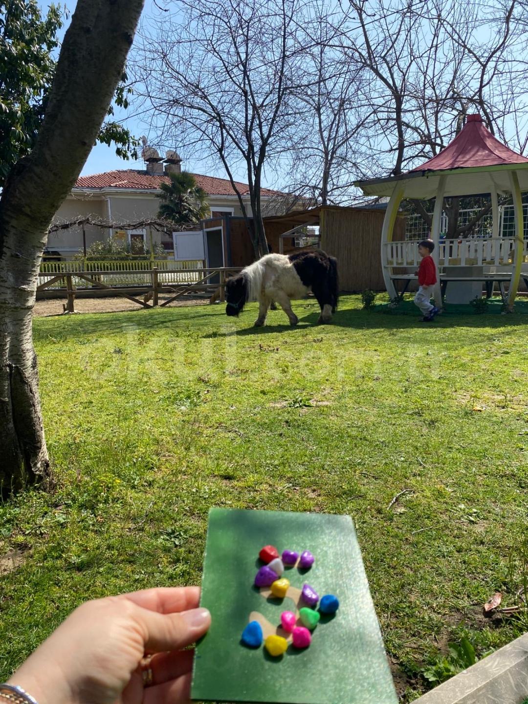 Özel Beylikdüzü Sevgi Pınarı Anaokulu - 35