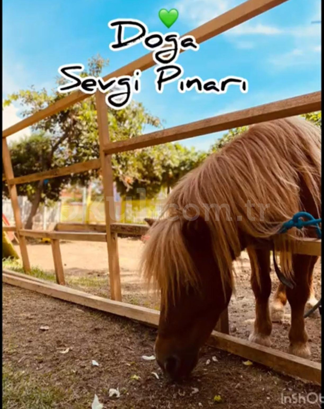 Özel Beylikdüzü Sevgi Pınarı Anaokulu - 5