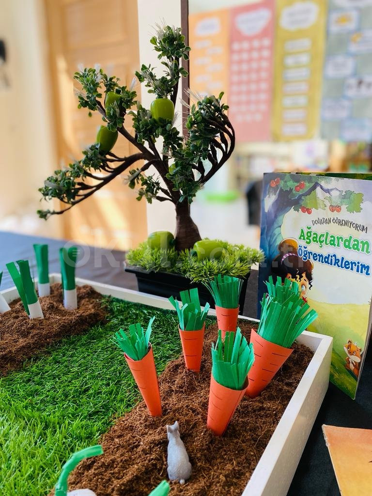 Özel Beylikdüzü Sevgi Pınarı Anaokulu - 2