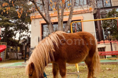 Özel Beylikdüzü Sevgi Pınarı Anaokulu