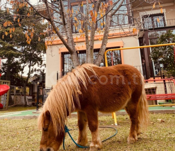 Özel Beylikdüzü Sevgi Pınarı Anaokulu