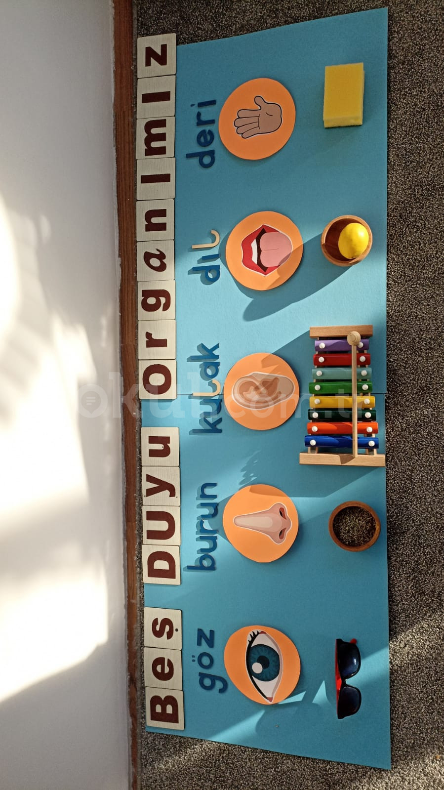 Özel Keçiören Minik Tohum Anaokulu - 9