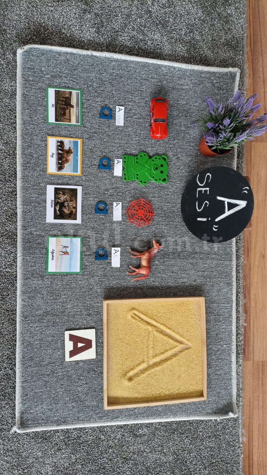 Özel Keçiören Minik Tohum Anaokulu - 10