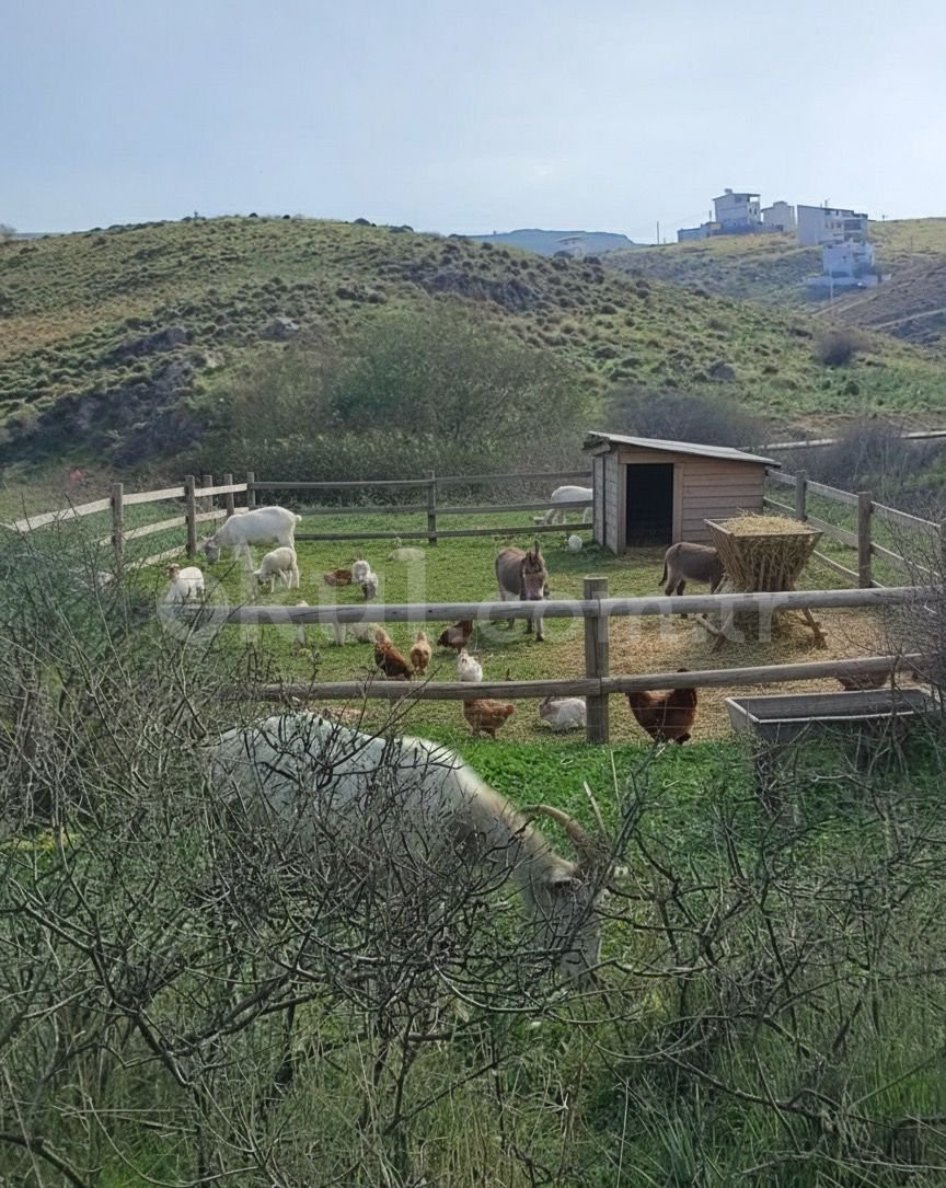 Özel Çalıkuşu Kreş ve Gündüz Bakımevi - 6