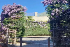 Özel Mor Mamut Kreş ve Gündüz Bakımevi