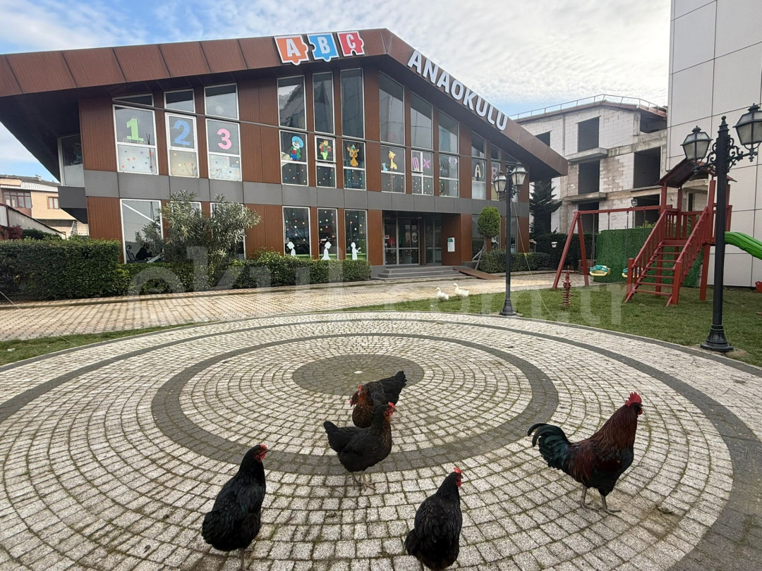 Özel Gebze ABC Anaokulu - 2
