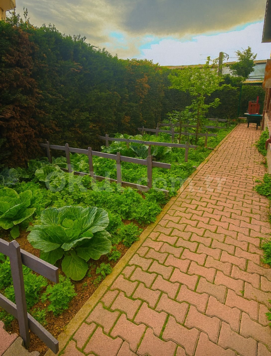 Özel Gebze ABC Anaokulu - 17