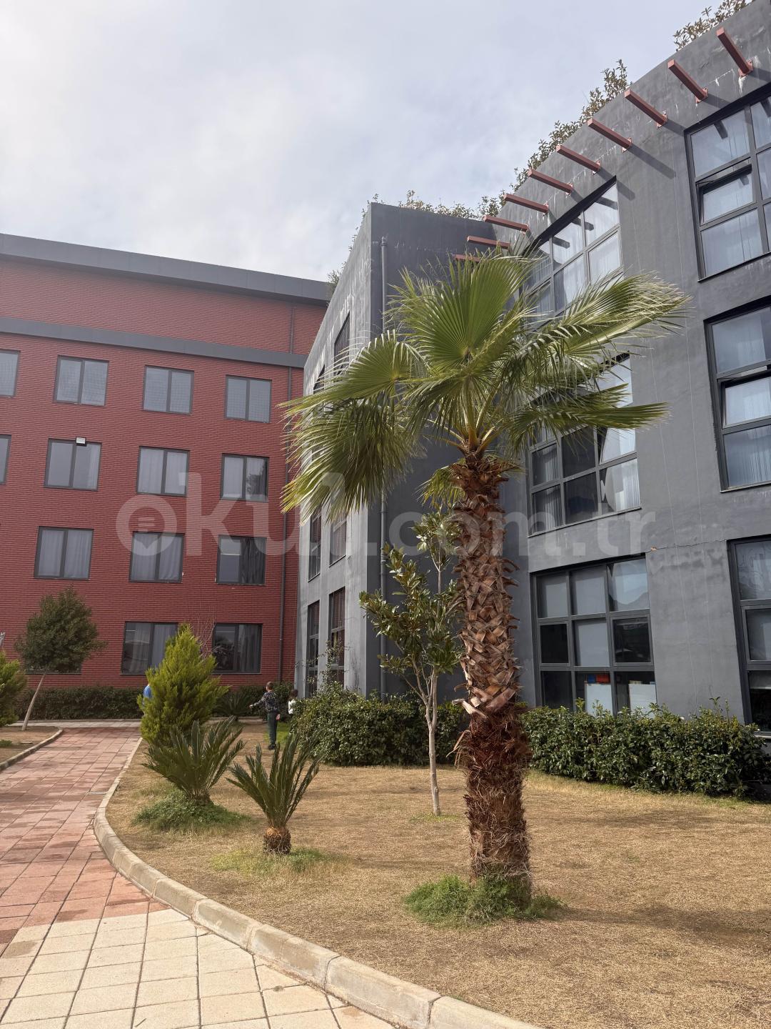 Özel Antalya Girne Koleji Anaokulu - 8